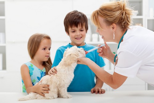 Vaccinations 3046 Valley Ave suite 101, Winchester, VA 22601