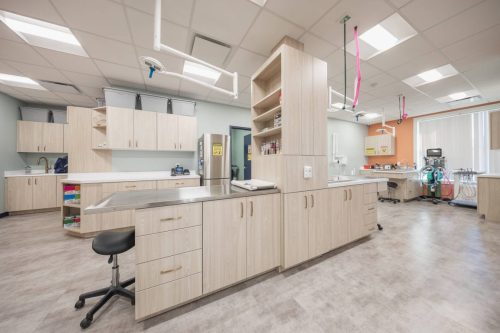 1-pet-triage-and-prep-station