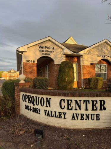1-vetpoint-veterinary-clinic-location-winchester