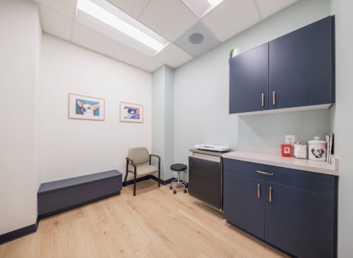2-cat-friendly-exam-room-vetpoint