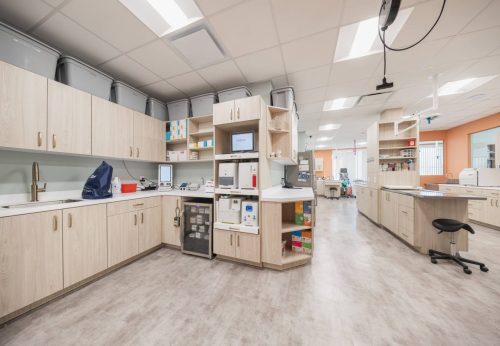 2-in-house-veterinary-diagnostic-lab