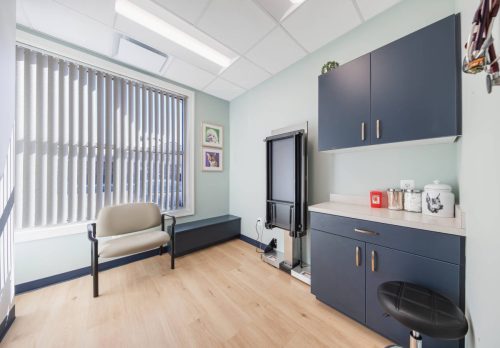 3-big-dog-exam-room-vetpoint-va