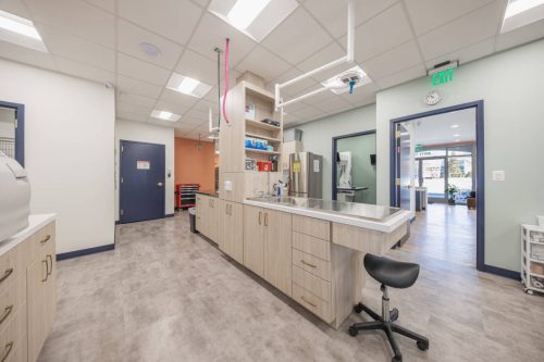 3-veterinary-treatment-area-winchester