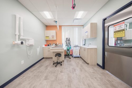 4-pet-dental-suite-vetpoint-va