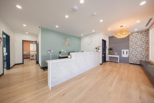 4-vetpoint-client-waiting-area-winchester