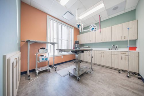 6-sterile-veterinary-surgery-suite