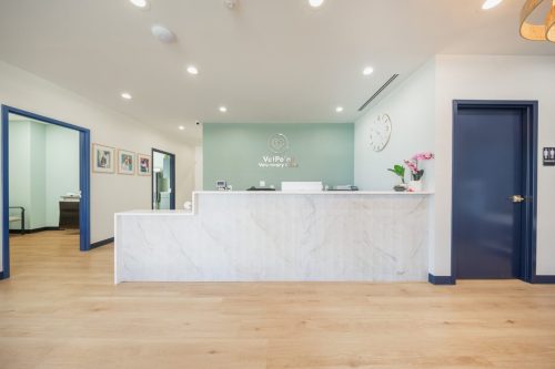 vetpoint-reception-desk-lobby